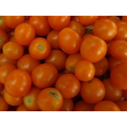 tomate CEREZA naranja dulce