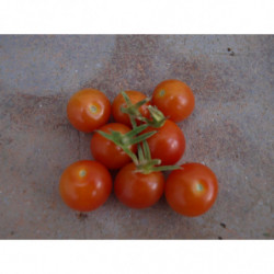 tomate CEREZA rojo 265