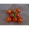 tomate CEREZA rojo 265