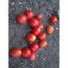 tomate CEREZA uva rosa