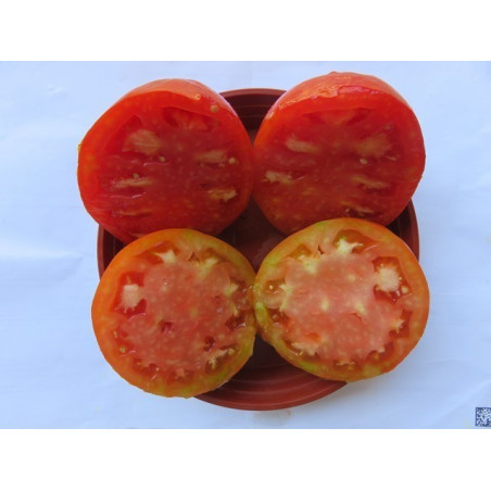 tomate corazon de aroche huelva