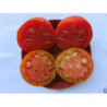 tomate corazon de aroche huelva
