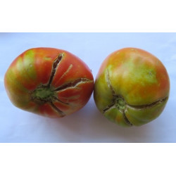 tomate corazon de aroche huelva