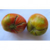 tomate corazon de aroche huelva