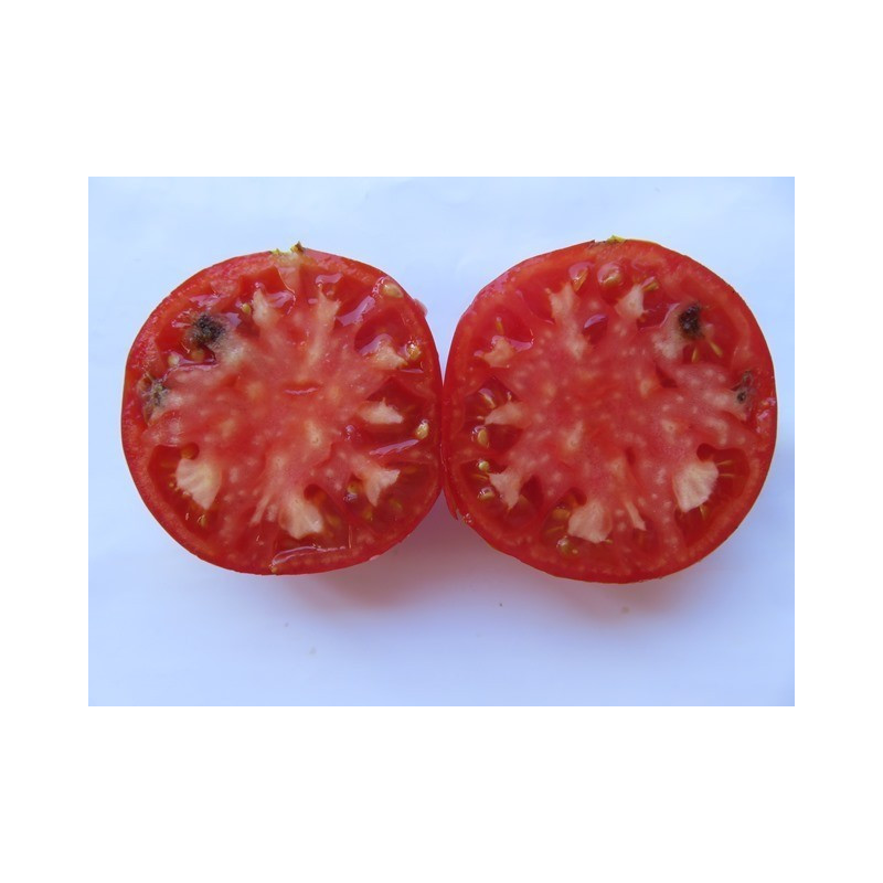 tomate corazon de buey de jerez de la frontera cadiz