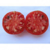 tomate corazon de buey de jerez de la frontera cadiz