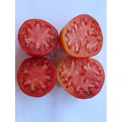 tomate corazon de toro de los huertos de zambullo de baena cordoba