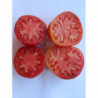 tomate corazon de toro de los huertos de zambullo de baena cordoba