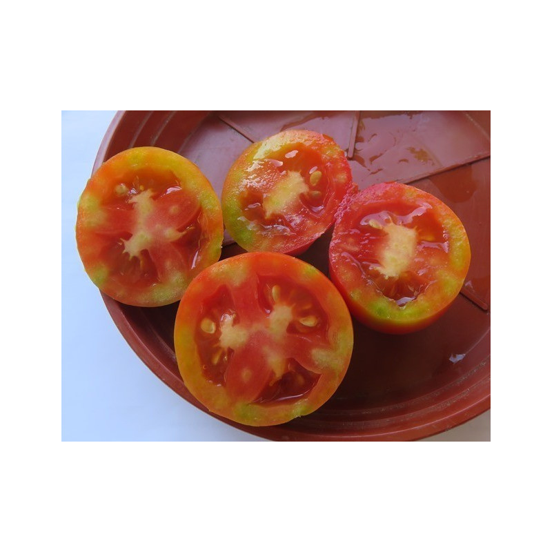 tomate de cuelga de pera de lebrija sevilla