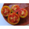 tomate de cuelga de pera de lebrija sevilla