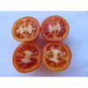 tomate de cuelga de jerez de la frontera