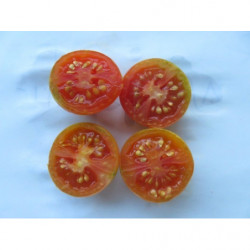 tomate de culo de colgar de igualeja malaga