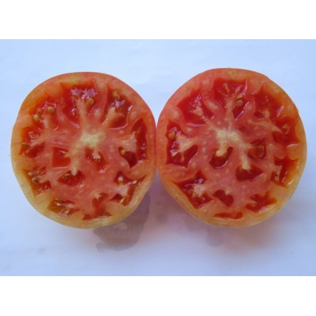 tomate del terreno de fuenteheridos huelva
