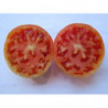 tomate del terreno de fuenteheridos huelva