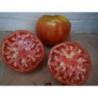 tomate gordo de ronda