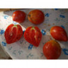 tomate macho valenciano