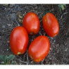tomate mata baja de pera