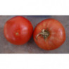 tomate melillero de la vega de granada
