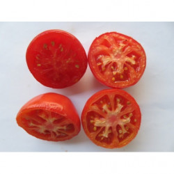 tomate morado corazon de toro de san nicolas del puerto sevilla