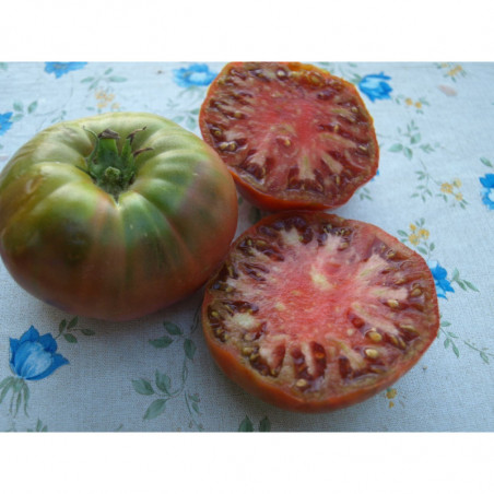 semillas tomate negro segurello