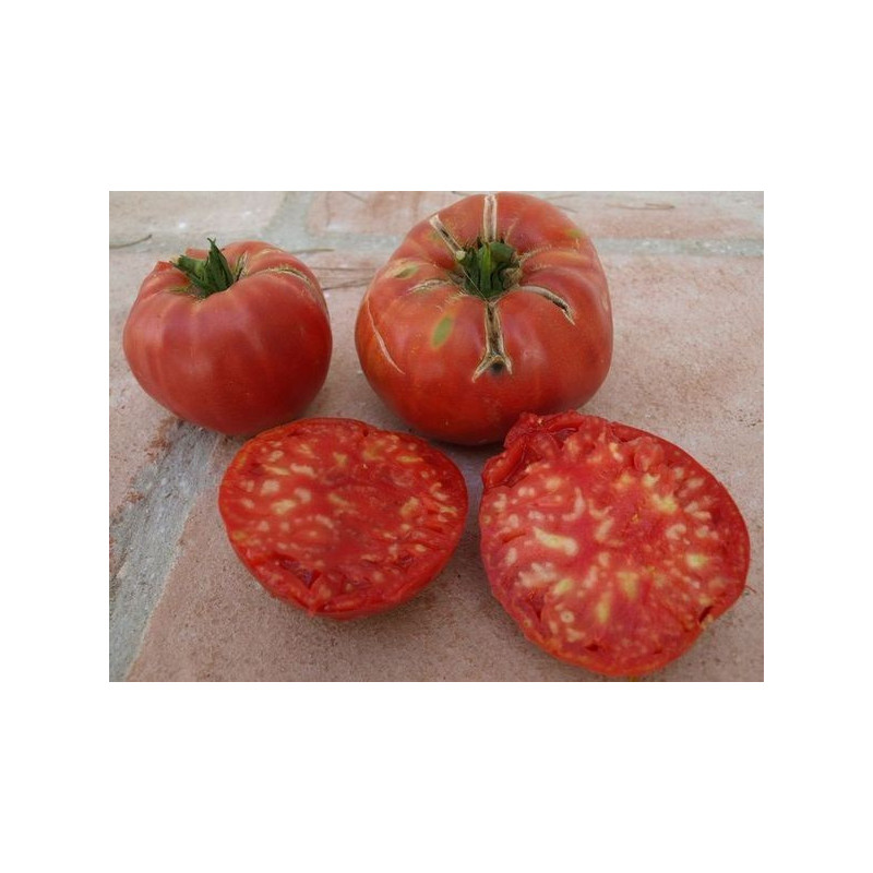 tomate rosa hoja de papa de wanda