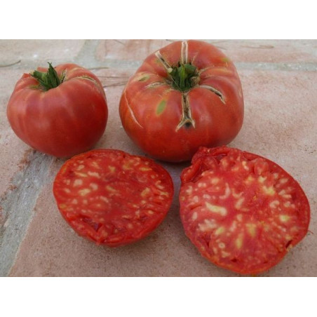 tomate rosa hoja de papa de wanda