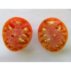 tomate rosilla del andevalo huelva