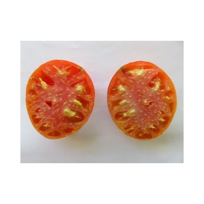 tomate rosilla del andevalo huelva
