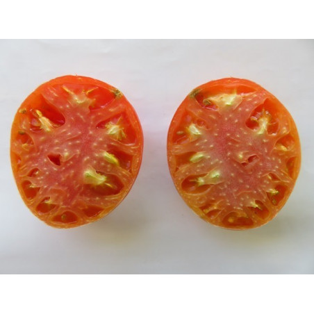 tomate rosilla del andevalo huelva