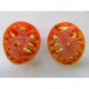 tomate rosilla del andevalo huelva