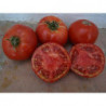 tomate talaverano