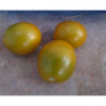 tomate uvilla