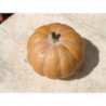 calabaza ojo de oso